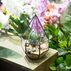 Handmade Hanging Six-surface With 3 Spaced Opening Glass Geometric Terrarium For Succulent Cacti -Ncyp Garden Store product image 499880067