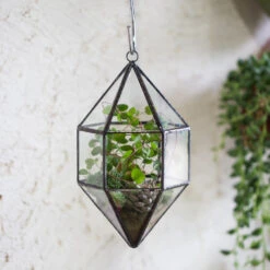 Handmade Hanging Cone Shape Glass Geometric Terrarium For Succulent Fern Moss 14 Handmade Hanging Cone Shape Glass Geometric Terrarium For Succulent Fern Moss -Ncyp Garden Store product image 499880420