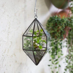Handmade Hanging Cone Shape Glass Geometric Terrarium For Succulent Fern Moss 21 Handmade Hanging Cone Shape Glass Geometric Terrarium For Succulent Fern Moss -Ncyp Garden Store product image 499880421