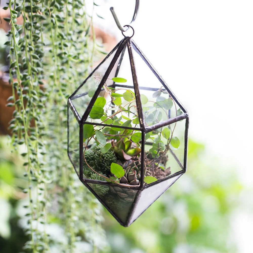 Handmade Hanging Cone Shape Glass Geometric Terrarium For Succulent Fern Moss 7 Handmade Hanging Cone Shape Glass Geometric Terrarium For Succulent Fern Moss - Image 5