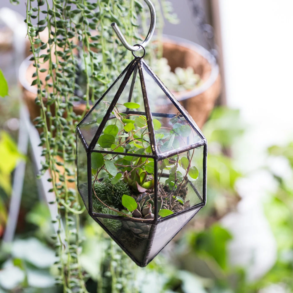 Handmade Hanging Cone Shape Glass Geometric Terrarium For Succulent Fern Moss 11 Handmade Hanging Cone Shape Glass Geometric Terrarium For Succulent Fern Moss - Image 9