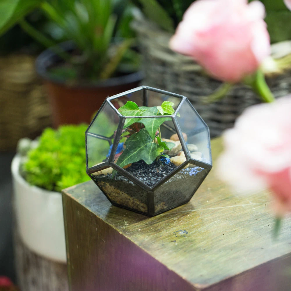 Handmade Mini Black Pentagon Glass Geometric Terrarium For Ring Box Moss 5 Handmade Mini Black Pentagon Glass Geometric Terrarium For Ring Box Moss - Image 3