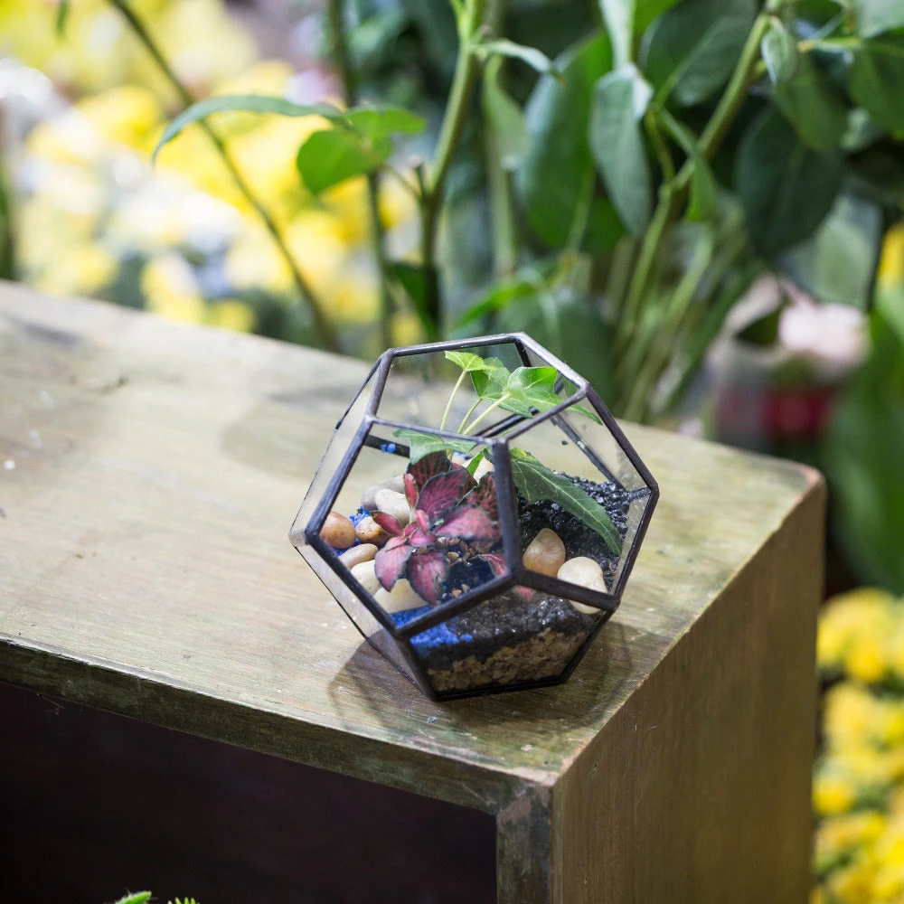 Handmade Mini Black Pentagon Glass Geometric Terrarium For Ring Box Moss 8 Handmade Mini Black Pentagon Glass Geometric Terrarium For Ring Box Moss - Image 6