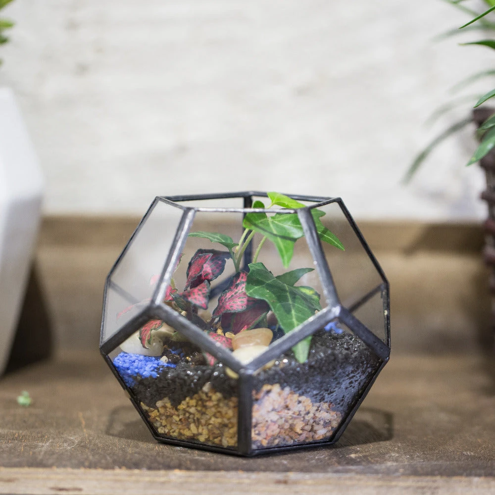 Handmade Mini Black Pentagon Glass Geometric Terrarium For Ring Box Moss 7 Handmade Mini Black Pentagon Glass Geometric Terrarium For Ring Box Moss - Image 5