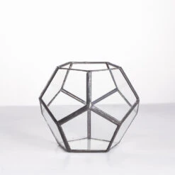 Handmade Mini Black Pentagon Glass Geometric Terrarium For Ring Box Moss 19 Handmade Mini Black Pentagon Glass Geometric Terrarium For Ring Box Moss -Ncyp Garden Store product image 499881929