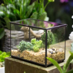 Handmade Rectangle Clear Glass Geometric Terrarium Box With Lid For Succulents Micro Landscape 20 Handmade Rectangle Clear Glass Geometric Terrarium Box With Lid For Succulents Micro Landscape -Ncyp Garden Store product image 505152284