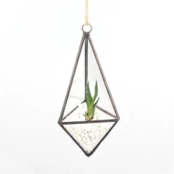 Handmade Hanging Mini Triangular Glass Geometric Terrarium For Fern Moss Succulent Airplants -Ncyp Garden Store product image 518666312