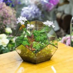 Handmade Extra Large Large Pentagon Glass Geometric Terrarium For Succulents Fern Moss Airplants -Ncyp Garden Store product image 534652727