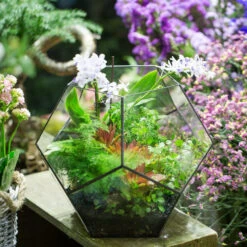 Handmade Extra Large Large Pentagon Glass Geometric Terrarium For Succulents Fern Moss Airplants -Ncyp Garden Store product image 534652728