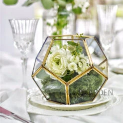 Handmade Tabletop Polyhedron Glass Geometric Terrarium For Succulent Fern Moss Air Plant 19 Handmade Tabletop Polyhedron Glass Geometric Terrarium For Succulent Fern Moss Air Plant -Ncyp Garden Store product image 540299076