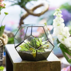 Handmade Tabletop Polyhedron Glass Geometric Terrarium For Succulent Fern Moss Air Plant 23 Handmade Tabletop Polyhedron Glass Geometric Terrarium For Succulent Fern Moss Air Plant -Ncyp Garden Store product image 540299078