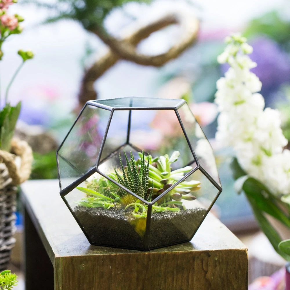Handmade Tabletop Polyhedron Glass Geometric Terrarium For Succulent Fern Moss Air Plant 9 Handmade Tabletop Polyhedron Glass Geometric Terrarium For Succulent Fern Moss Air Plant - Image 7