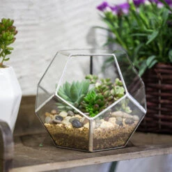 Handmade Tabletop Polyhedron Glass Geometric Terrarium For Succulent Fern Moss Air Plant 27 Handmade Tabletop Polyhedron Glass Geometric Terrarium For Succulent Fern Moss Air Plant -Ncyp Garden Store product image 540299079