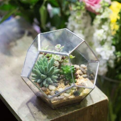 Handmade Tabletop Polyhedron Glass Geometric Terrarium For Succulent Fern Moss Air Plant 26 Handmade Tabletop Polyhedron Glass Geometric Terrarium For Succulent Fern Moss Air Plant -Ncyp Garden Store product image 540299080