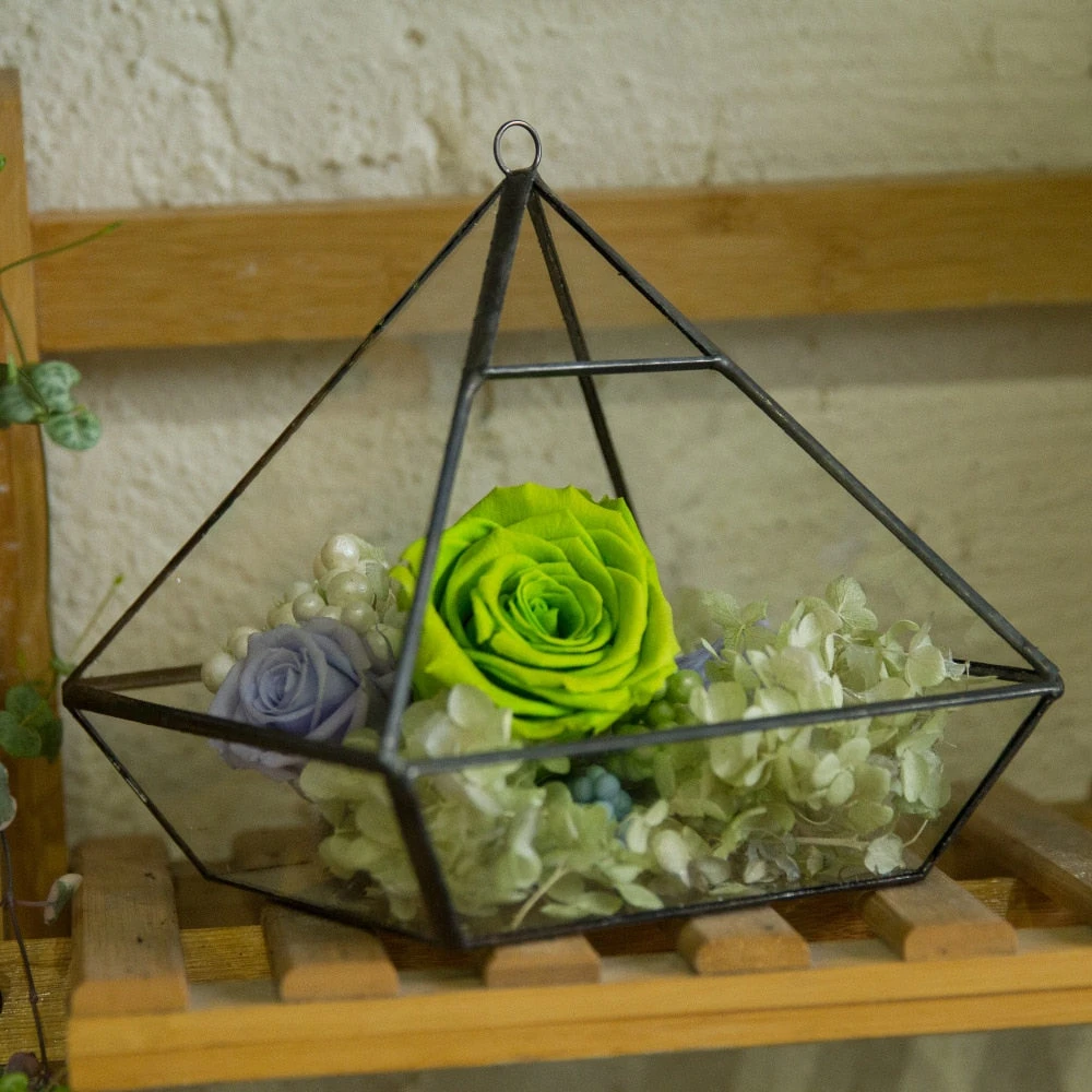 Handmade Hanging Glass Geometric Plant Container Terrariumfor Succulent Planter Fern Moss 4 Handmade Hanging Glass Geometric Plant Container Terrariumfor Succulent Planter Fern Moss - Image 2