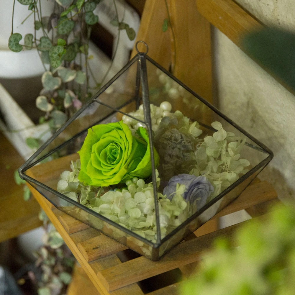 Handmade Hanging Glass Geometric Plant Container Terrariumfor Succulent Planter Fern Moss 7 Handmade Hanging Glass Geometric Plant Container Terrariumfor Succulent Planter Fern Moss - Image 5
