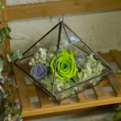 Handmade Hanging Glass Geometric Plant Container Terrariumfor Succulent Planter Fern Moss 21 Handmade Hanging Glass Geometric Plant Container Terrariumfor Succulent Planter Fern Moss -Ncyp Garden Store product image 550613357