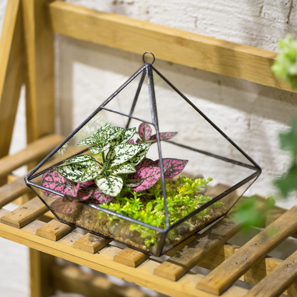 Handmade Hanging Glass Geometric Plant Container Terrariumfor Succulent Planter Fern Moss 11 Handmade Hanging Glass Geometric Plant Container Terrariumfor Succulent Planter Fern Moss - Image 9