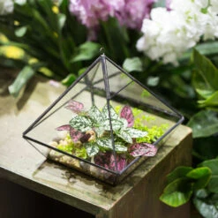 Handmade Hanging Glass Geometric Plant Container Terrariumfor Succulent Planter Fern Moss 18 Handmade Hanging Glass Geometric Plant Container Terrariumfor Succulent Planter Fern Moss -Ncyp Garden Store product image 550613372