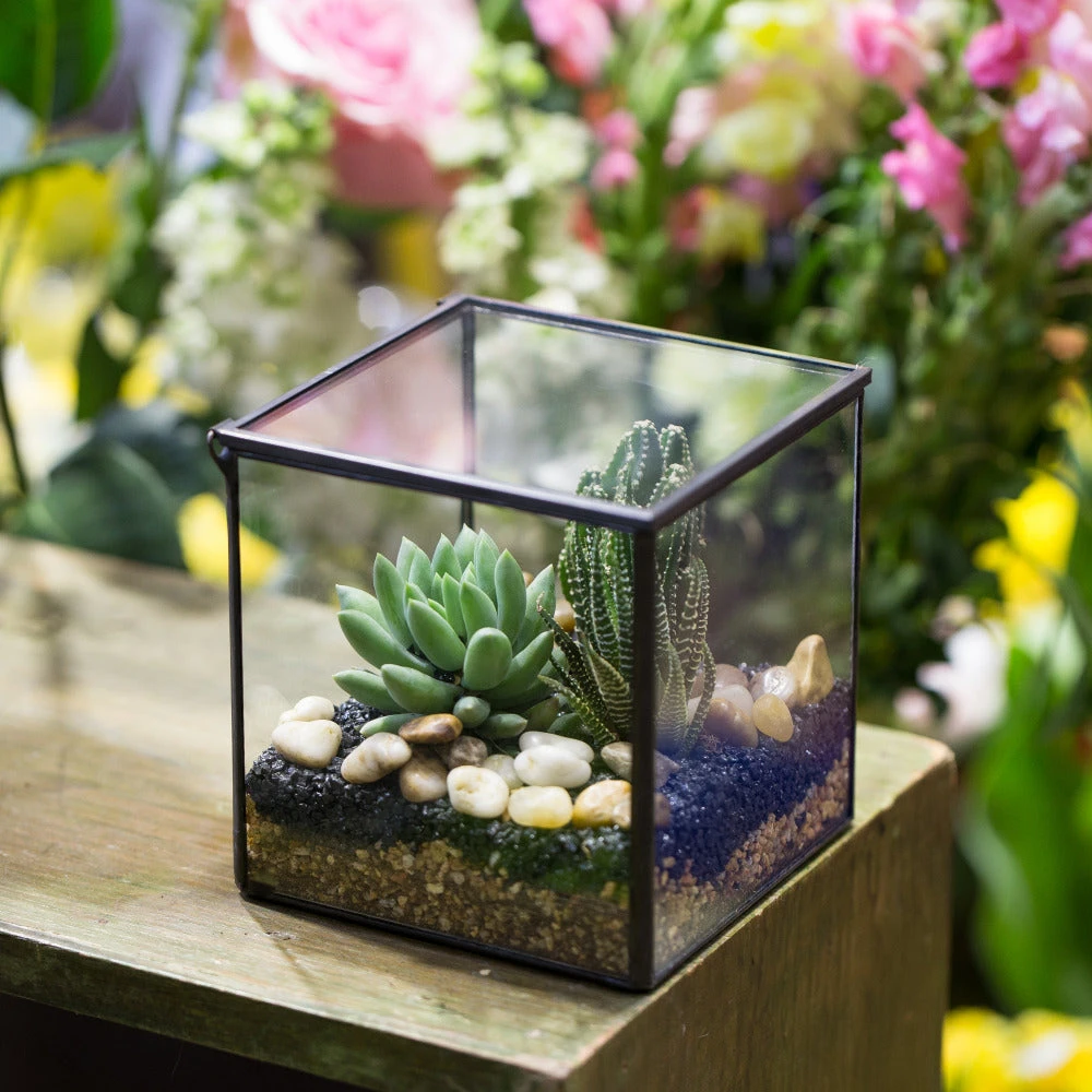 Handmade Square Glass Geometric Terrarium Box With Lid For Succulents Fern Moss 7 Handmade Square Glass Geometric Terrarium Box With Lid For Succulents Fern Moss - Image 5
