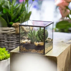 Handmade Square Glass Geometric Terrarium Box With Lid For Succulents Fern Moss 18 Handmade Square Glass Geometric Terrarium Box With Lid For Succulents Fern Moss -Ncyp Garden Store product image 557154699