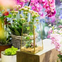 Handmade Copper Gold Echelon Geometric Glass Terrarium Hanging Wall Holder Lantern With Handle -Ncyp Garden Store product image 557798862