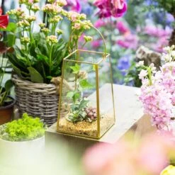 Handmade Copper Gold Echelon Geometric Glass Terrarium Hanging Wall Holder Lantern With Handle -Ncyp Garden Store product image 557798863