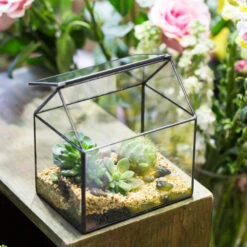 Handmade Black House Shape Glass Geometric Terrarium Wth Lid For Succulent Fern Moss Airplants -Ncyp Garden Store product image 564595359