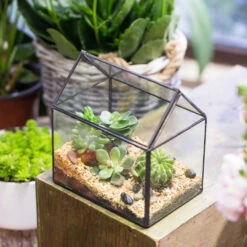 Handmade Black House Shape Glass Geometric Terrarium Wth Lid For Succulent Fern Moss Airplants -Ncyp Garden Store product image 564595373