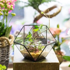 Handmade Glass Geometric Flower Terrarium Pot For Succulents Moss Fern Micro Landscape -Ncyp Garden Store product image 568044670
