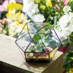 Handmade Glass Geometric Flower Terrarium Pot For Succulents Moss Fern Micro Landscape -Ncyp Garden Store product image 568044671