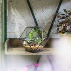 Handmade Glass Geometric Flower Terrarium Pot For Succulents Moss Fern Micro Landscape -Ncyp Garden Store product image 568044672