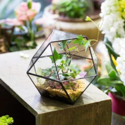 Handmade Glass Geometric Flower Terrarium Pot For Succulents Moss Fern Micro Landscape -Ncyp Garden Store product image 568044675