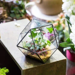 Handmade Glass Geometric Flower Terrarium Pot For Succulents Moss Fern Micro Landscape -Ncyp Garden Store product image 568044678