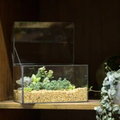 Handmade House Shape Glass Black Geometric Terrarium With Lid For Succulent Moss Airplants Cacti 18 Handmade House Shape Glass Black Geometric Terrarium With Lid For Succulent Moss Airplants Cacti -Ncyp Garden Store product image 572123488