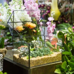 Handmade House Shape Glass Black Geometric Terrarium With Lid For Succulent Moss Airplants Cacti 24 Handmade House Shape Glass Black Geometric Terrarium With Lid For Succulent Moss Airplants Cacti -Ncyp Garden Store product image 572123490