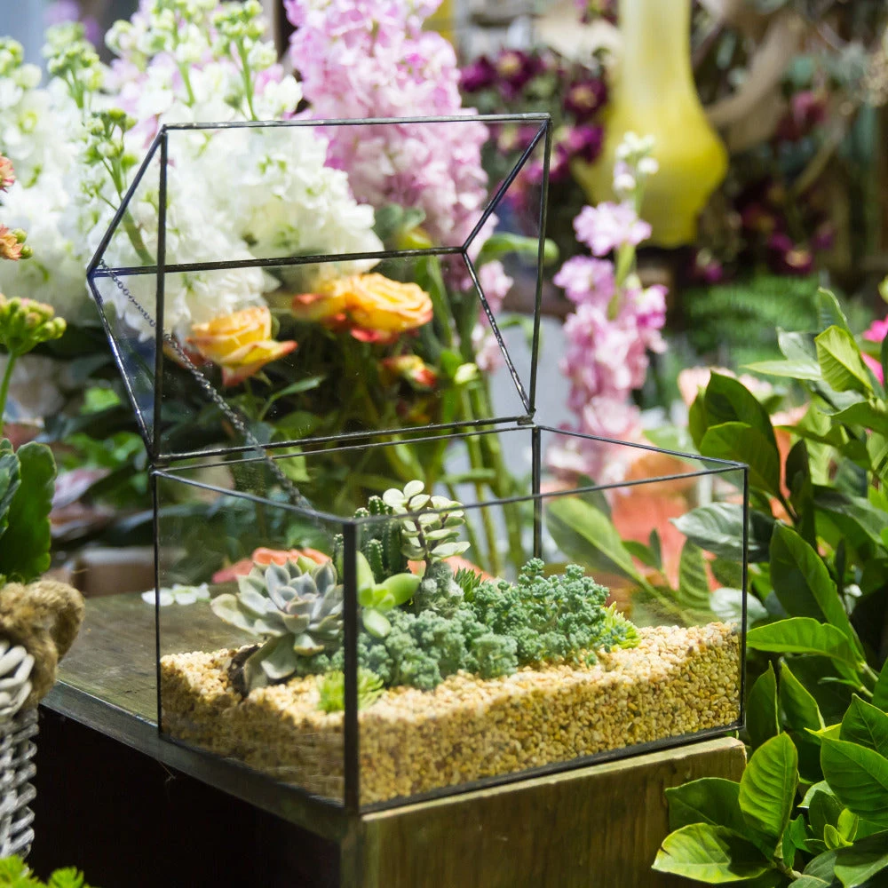 Handmade House Shape Glass Black Geometric Terrarium With Lid For Succulent Moss Airplants Cacti 13 Handmade House Shape Glass Black Geometric Terrarium With Lid For Succulent Moss Airplants Cacti - Image 11