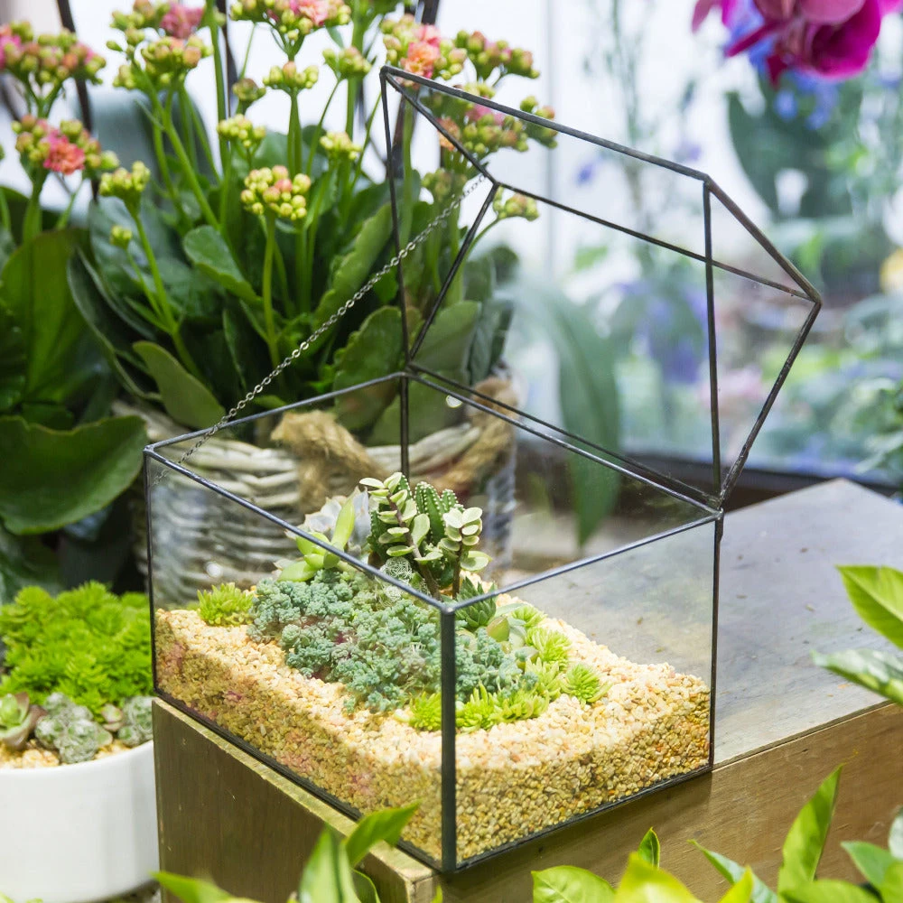 Handmade House Shape Glass Black Geometric Terrarium With Lid For Succulent Moss Airplants Cacti 14 Handmade House Shape Glass Black Geometric Terrarium With Lid For Succulent Moss Airplants Cacti - Image 12