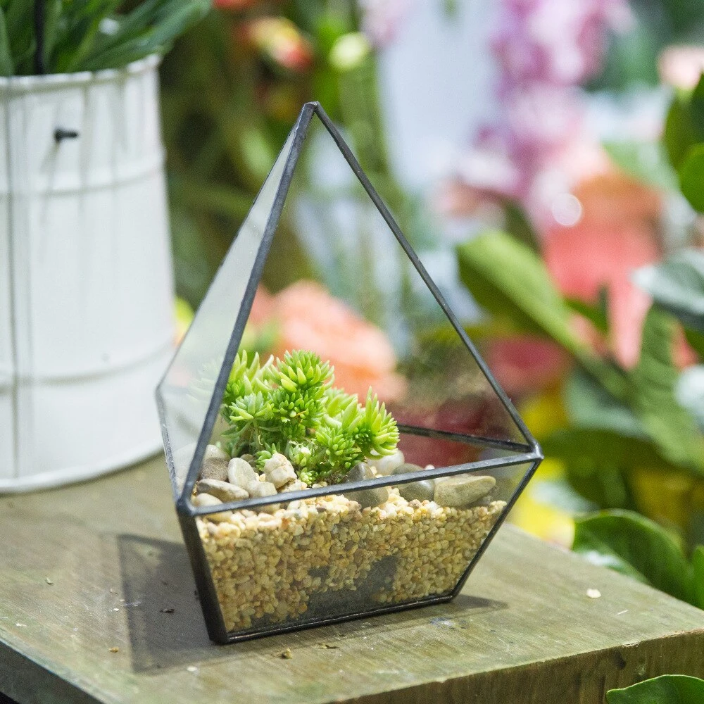Handmade Geometric Flower Pot Small Glass Terrarium Pot For Container Balcony Garden Succulents 12 Handmade Geometric Flower Pot Small Glass Terrarium Pot For Container Balcony Garden Succulents - Image 10