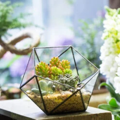Handmade Bowl Shape Geometric Glass Terrarium For Garden Plants Succulents Moss Airplants 21 Handmade Bowl Shape Geometric Glass Terrarium For Garden Plants Succulents Moss Airplants -Ncyp Garden Store product image 575616795