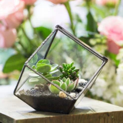 Handmade 10cm / 15cm Inclined Cube Glass Black Geometric Terrarium With Door For Succulent Moss -Ncyp Garden Store product image 575619541