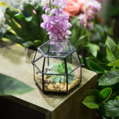 Handmade Small Glass Jewelry Geometric Box Terrarium For Succulents Ring Box -Ncyp Garden Store product image 580459536