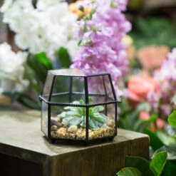 Handmade Small Glass Jewelry Geometric Box Terrarium For Succulents Ring Box -Ncyp Garden Store product image 580459537