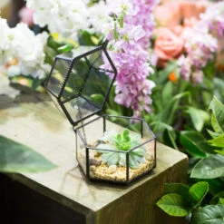 Handmade Small Glass Jewelry Geometric Box Terrarium For Succulents Ring Box -Ncyp Garden Store product image 580459538