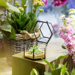 Handmade Small Glass Jewelry Geometric Box Terrarium For Succulents Ring Box -Ncyp Garden Store product image 580459539