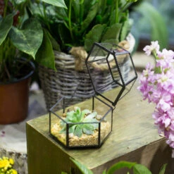 Handmade Small Glass Jewelry Geometric Box Terrarium For Succulents Ring Box -Ncyp Garden Store product image 580459540