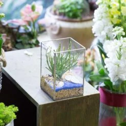 Handmade Silver Long Geometric Glass Terrarium For Succulents Moss Cacti Fern 12 Handmade Silver Long Geometric Glass Terrarium For Succulents Moss Cacti Fern -Ncyp Garden Store product image 582216028