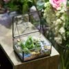 Handmade Small Jewelry Box Geometric Glass Terrarium With Cover For Airplants Succulents Moss Ring