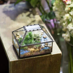 Handmade Small Jewelry Box Geometric Glass Terrarium With Cover For Airplants Succulents Moss Ring -Ncyp Garden Store product image 587489741
