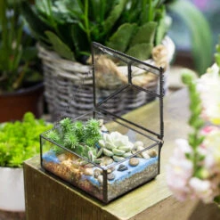 Handmade Small Jewelry Box Geometric Glass Terrarium With Cover For Airplants Succulents Moss Ring -Ncyp Garden Store product image 587489742